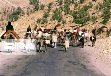 سه هزار کیلومتر جاده عشایری سمنان نیازمند بازسازی است