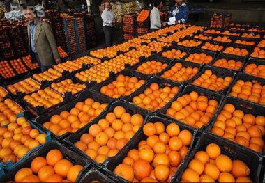 2420 تن میوه عید  در آذربایجان شرقی توزیع شد