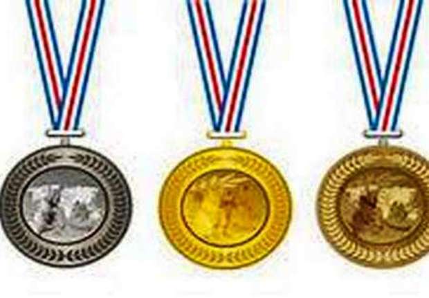 همدانی ها در اندیشه صید مدال های المپیک آسیایی