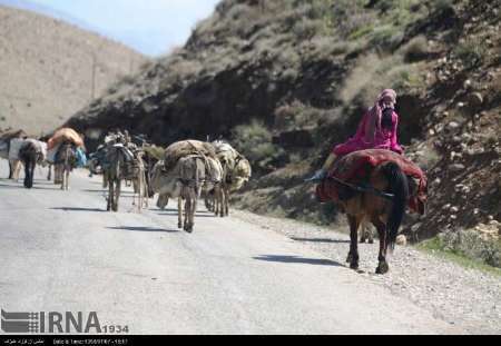 کوچ عشایر به مناطق ییلاقی استان ایلام آغاز شد