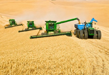 خسارت و برکت سیلاب برای کشاورزی سمنان