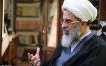 آیت الله فاضل لنکرانی: آقای خاتمی و دوستانشان نسبت به مراجع احترام کاملی قائل بودند