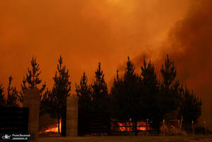 منتخب تصاویر امروز جهان - 16 بهمن 1401