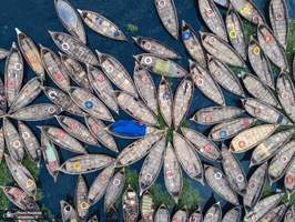 منتخب تصاویر امروز جهان - 10 فروردین 1401