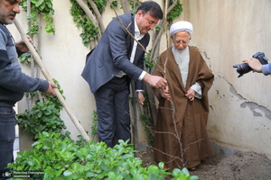 کاشت نهال توسط آیت الله العظمی جوادی آملی در هفته درختکاری