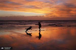 منتخب تصاویر امروز جهان- 28 بهمن 1400