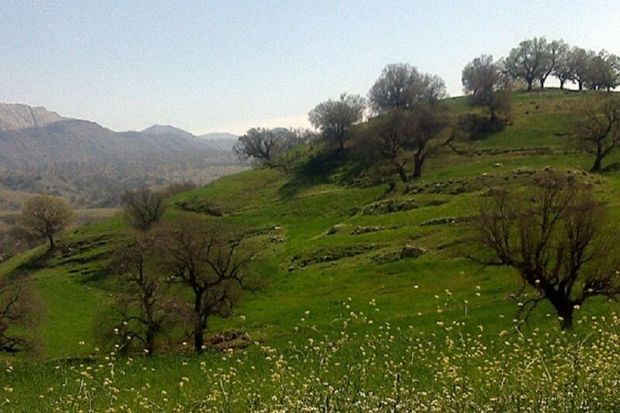 گشت و گذار مجازی در روز سیزده به در