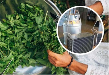 آموزش درست کردن عرق نعناع با دستگاه عرق گیر در خانه 