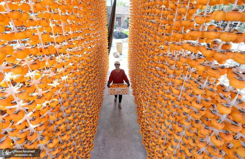 منتخب تصاویر امروز جهان- 3 آبان