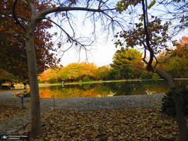 باغ گیاه‌شناسی ملی ایران‎