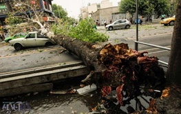 نجات ۳۵ نفر از گرفتار شدگان در طوفان محور اسالم ـ خلخال