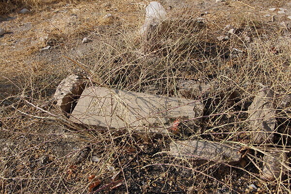 جویندگان گنج گورستان قاجاری را زیر و رو کرده‌اند