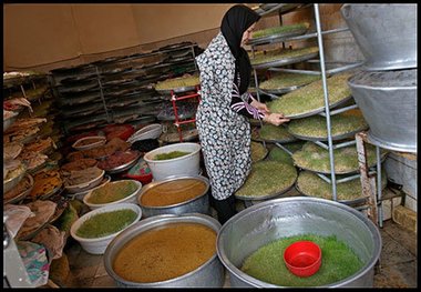 ثبت نام مشاغل خانگی در لرستان آغاز شد