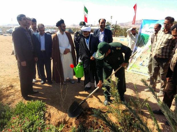 کاشت نهال در جوار مزار شهیدان گمنام در خور وبیابانک