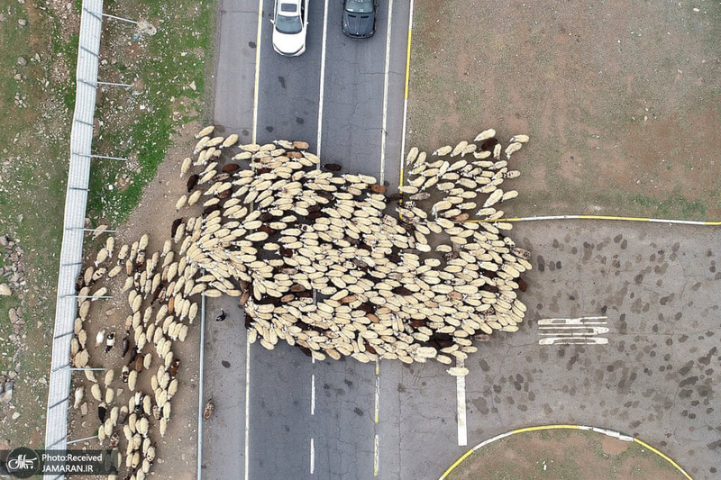 منتخب تصاویر امروز جهان- 15 اردیبهشت 1400