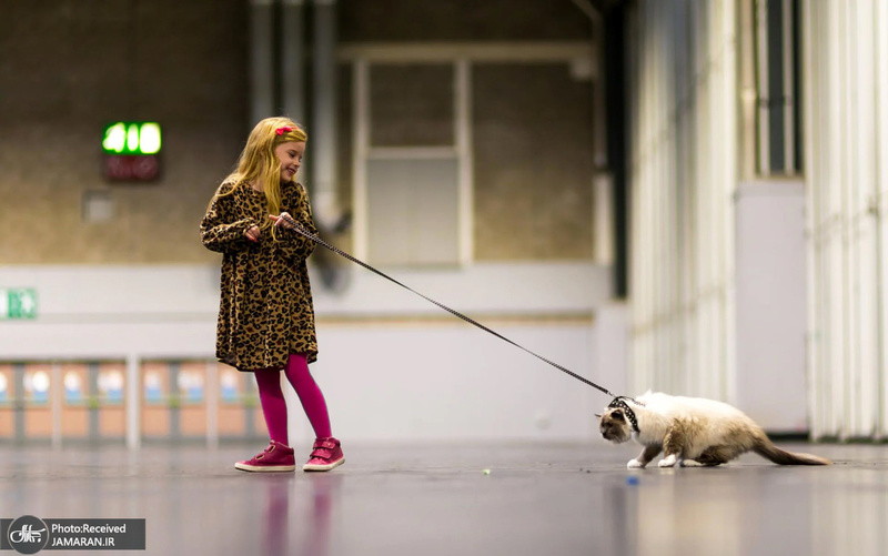 منتخب تصاویر امروز جهان- 5/آبان