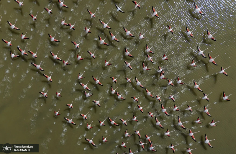 منتخب تصاویر امروز جهان - 28 اسفند 1403