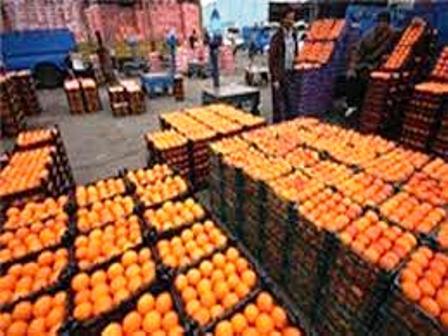 2هزار و 300 تن سیب و پرتقال ایام نوروز در همدان توزیع شد
