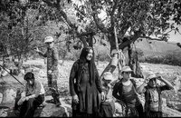 مردم اندیکا (24)