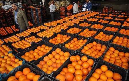 آغاز مرحله سوم توزیع میوه تنظیم بازار در 140 مرکز عرضه استان یزد