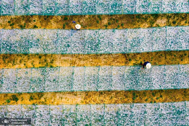 منتخب تصاویر امروز جهان- 8  آبان