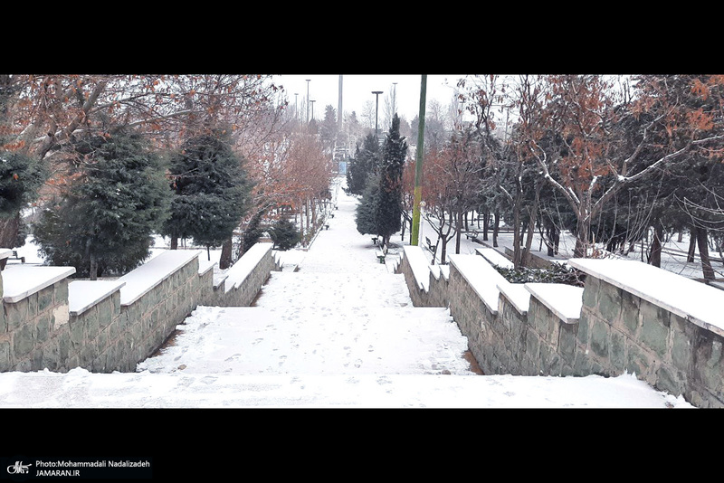 برف و مه در تهران - 21 دیماه 1401