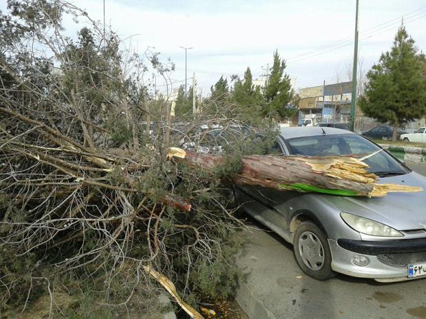 تندباد با سرعت 95 کیلومتر بر ساعت میاندوآب را در نوردید