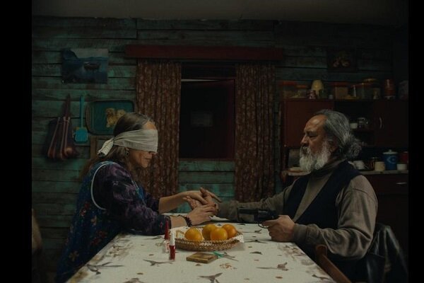 معرفی برندگان جایزه نوعی نگاه کن ۲۰۲۵