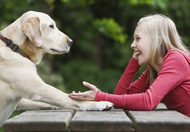 یک پروژه بحث‌برانگیز؛ ارتباط جدید بین انسان‌ها و حیواناتشان از طریق هوش مصنوعی