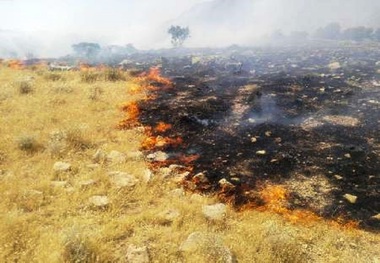 بخشی از تالاب میانگران ایذه طعمه آتش شد