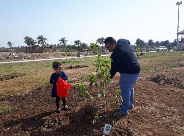 غرس 30هزار اصله نهال در استان بوشهر آغاز شد