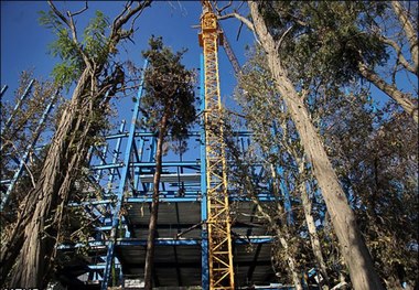 قصه بی‌برگی شهر