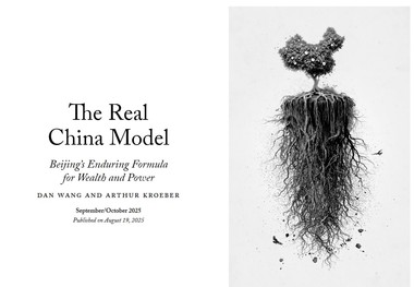 مدل واقعی چین