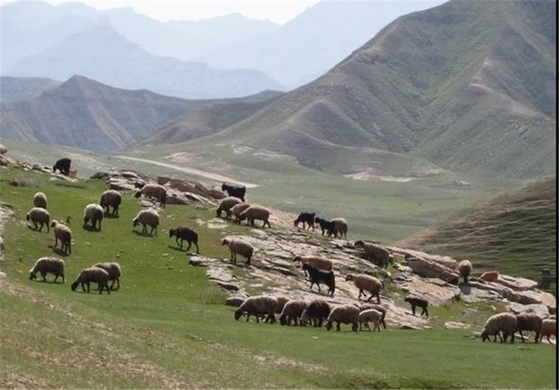 طرح مرتعداری به مساحت ۴۷۰۰ هکتار در شهرستان کوثر اجرا می‌شود