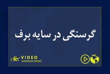 گرسنگی در سایه برف