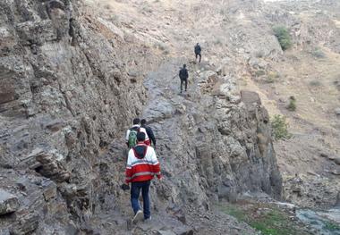 گله گوسفندان بدون چوپان به روستا بازگشت