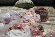 ۵۰۰ کیلوگرم گوشت فاسد دام در کرمانشاه کشف و امحا شد