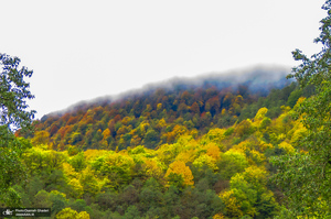 آبشار لونک دیلمان