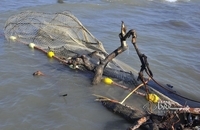 تورهای پاره، سهم صیادان از ماهیگیری پس از سیل در مازندران (6)