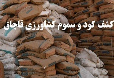 130 میلیون تومان کالای قاچاق در کنگاور کشف شد