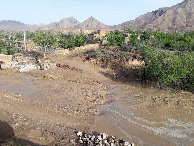 سیل روستای پسوه 14 میلیارد تومان خسارت ببار آورد