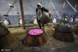 منتخب تصاویر امروز جهان- 9 خرداد 1400