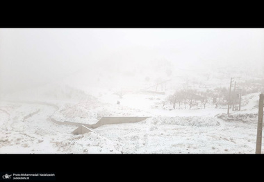 برف و مه در تهران - 21 دیماه 1401