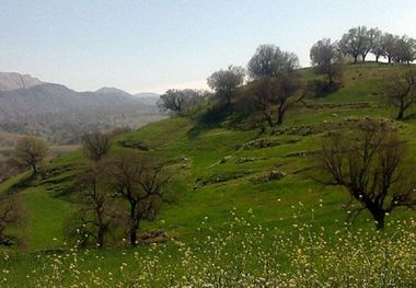 خزان گردشگری کهگیلویه و بویراحمد در بهار کرونایی