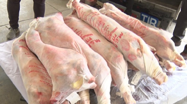 توزیع گوشت وارداتی در تبریز ناکافی است