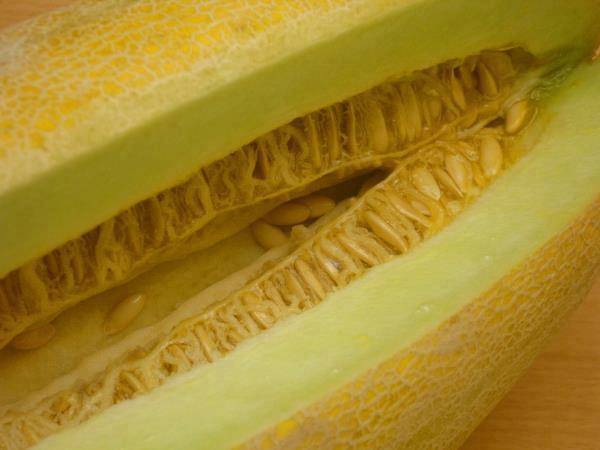 خربزه مشهدی نخورید!