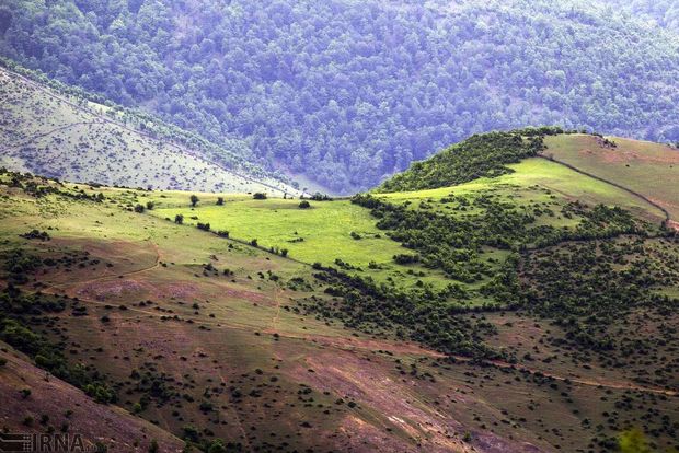 ۵ هزار نفر در کردستان همیار طبیعت هستند