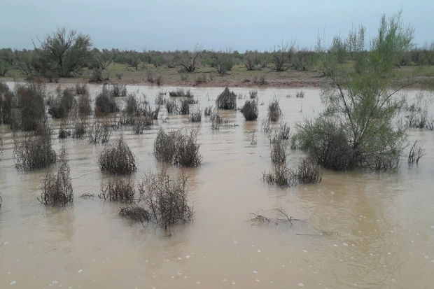 هواشناسی کرمان نسبت به سیلابی شدن رودخانه‌های فصلی هشدار داد
