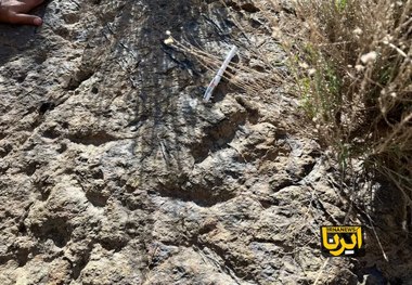 ردپای ۲۰۰ میلیون ساله دایناسورها در زرند کشف شد + عکس