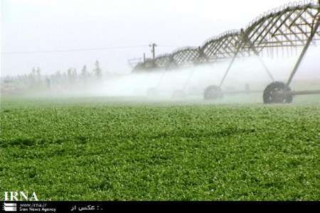 فاروج رتبه نخست استفاده بهینه آب در بخش کشاورزی خراسان شمالی دارد